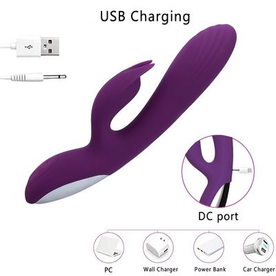 USB 충전 22.5cm 진동기 성 장난감 건강한 실리콘 10 속도